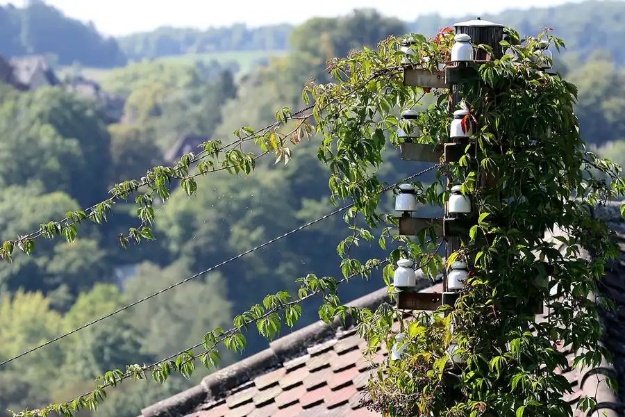 012 | 2008 | Schaffhausen | © carsten riede fotografie