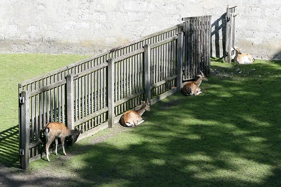 014 | 2008 | Schaffhausen | © carsten riede fotografie