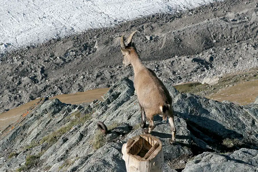 058 | 2008 | Zermatt – Gornergrat | Fahrt mit der Gornergratbahn | © carsten riede fotografie
