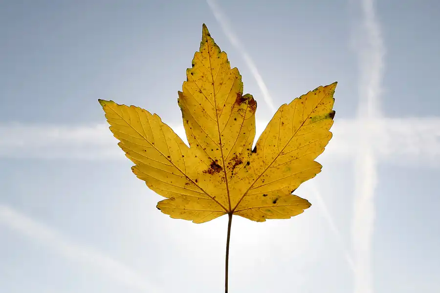 013 | 2008 | Berlin | Rund um den Malchower See | © carsten riede fotografie