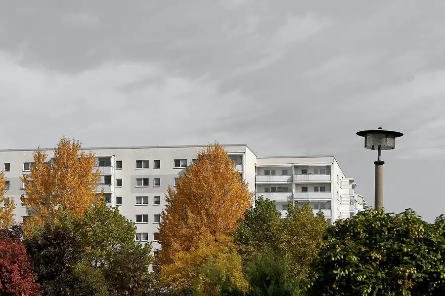 021 | 2008 | Berlin | Rund um den Malchower See | © carsten riede fotografie