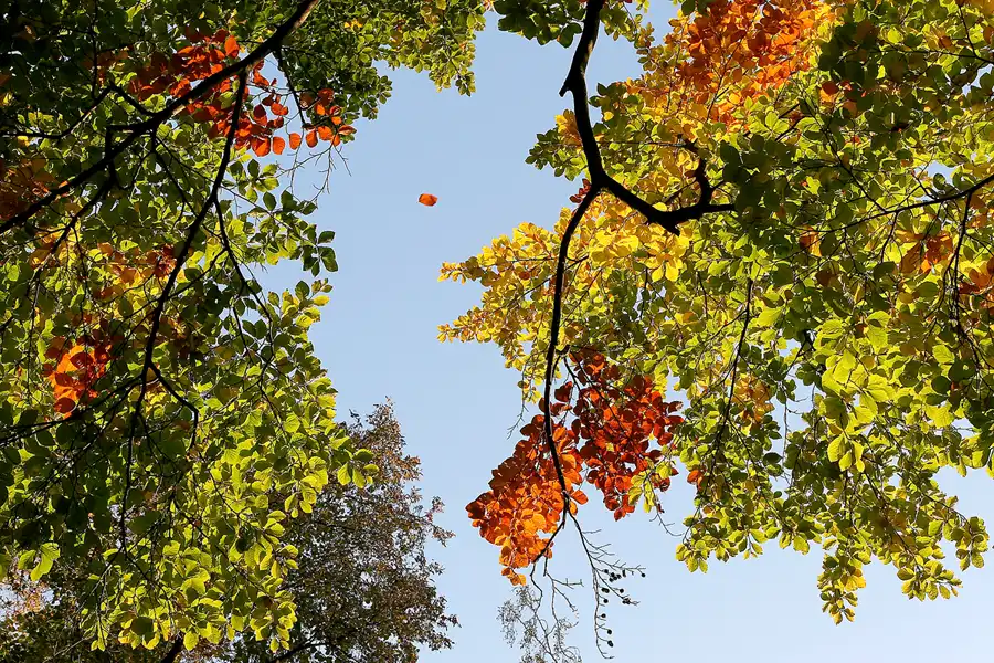 026 | 2008 | Berlin | Obersee-Orankesee-Park | © carsten riede fotografie