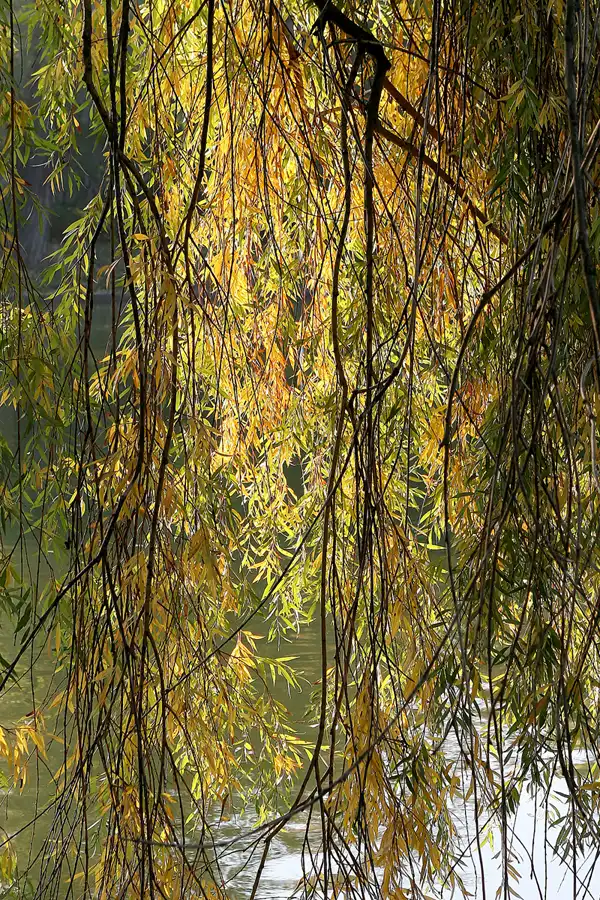 028 | 2008 | Berlin | Obersee-Orankesee-Park | © carsten riede fotografie