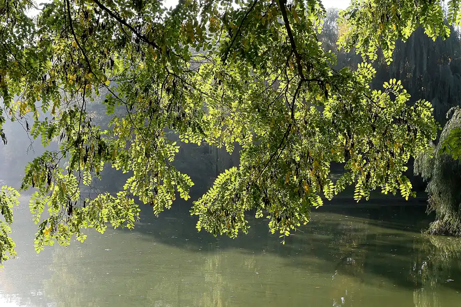 038 | 2008 | Berlin | Obersee-Orankesee-Park | © carsten riede fotografie