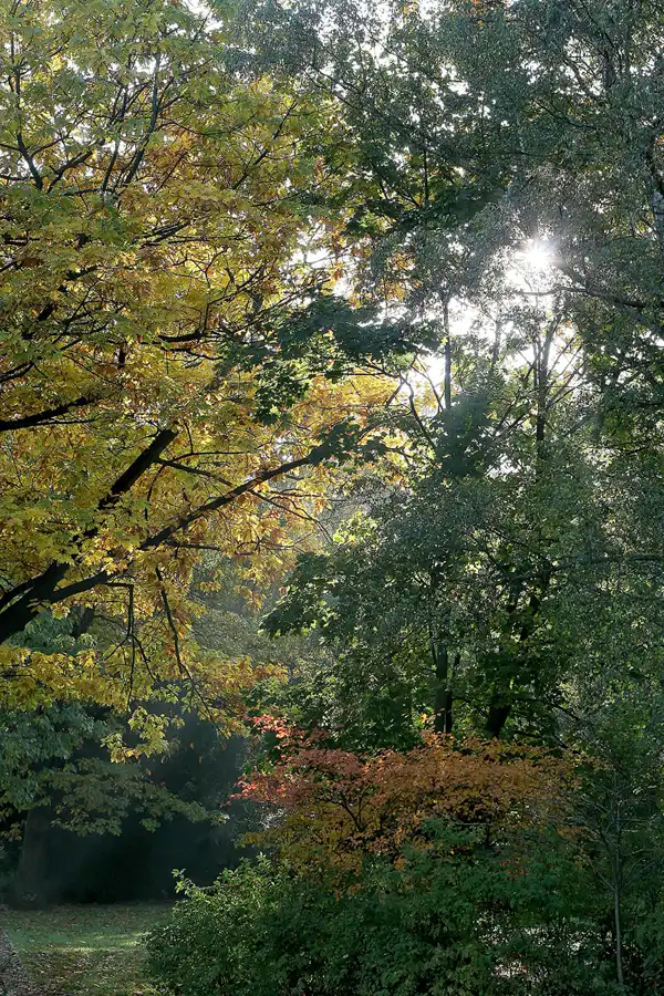 039 | 2008 | Berlin | Obersee-Orankesee-Park | © carsten riede fotografie