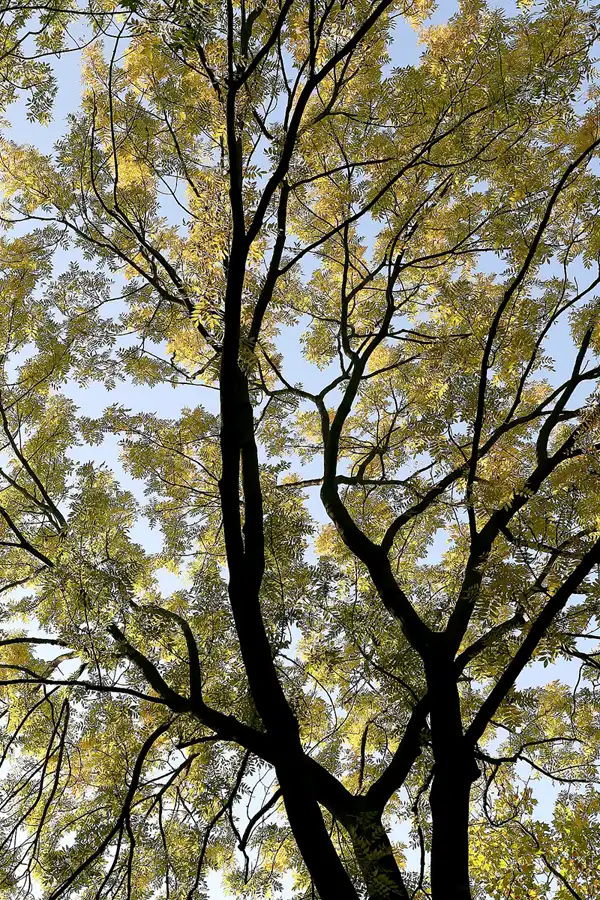 041 | 2008 | Berlin | Obersee-Orankesee-Park | © carsten riede fotografie