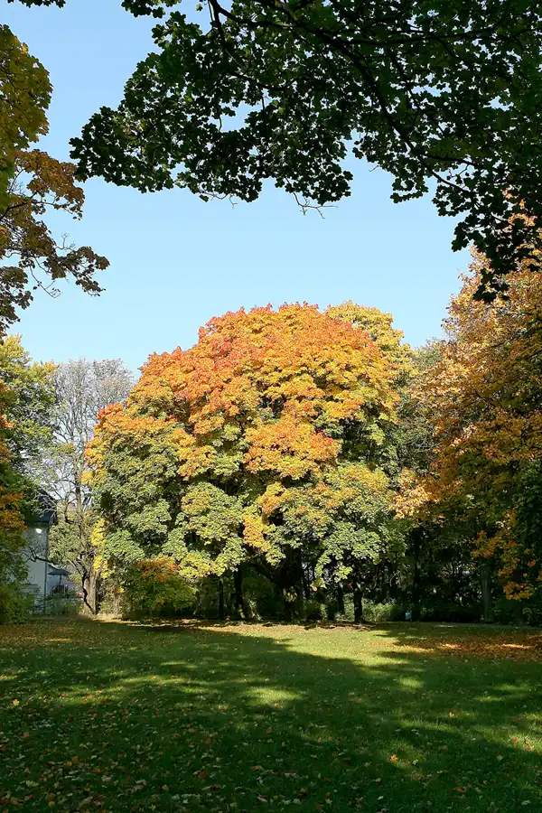 050 | 2008 | Berlin | Obersee-Orankesee-Park | © carsten riede fotografie