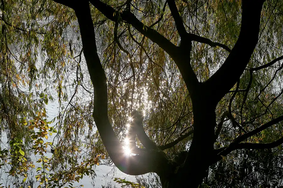 073 | 2008 | Berlin | Obersee-Orankesee-Park | © carsten riede fotografie