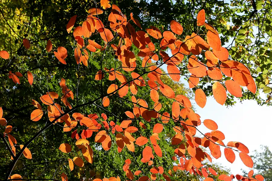 075 | 2008 | Berlin | Obersee-Orankesee-Park | © carsten riede fotografie