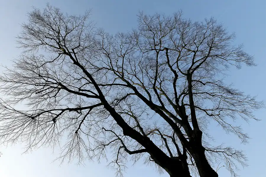 076 | 2008 | Berlin | Obersee-Orankesee-Park | © carsten riede fotografie