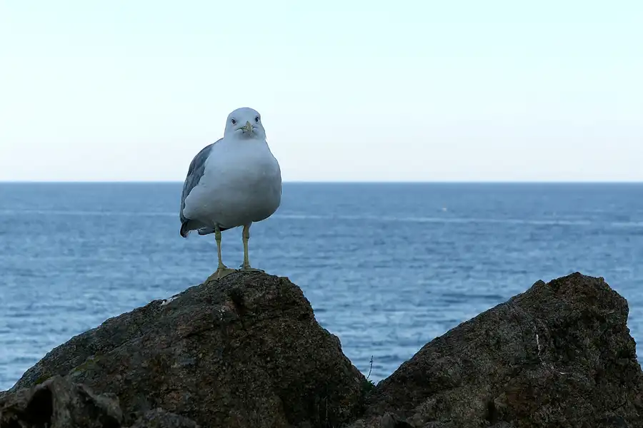 026 | 2008 | Tossa De Mar | © carsten riede fotografie