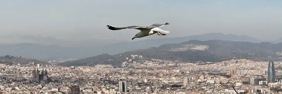 083 | 2008 | Barcelona | Blick vom Castell de Montjuic | © carsten riede fotografie