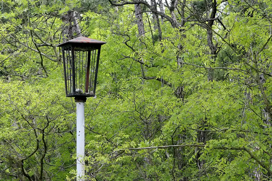 027 | 2009 | Thüringer Wald | © carsten riede fotografie