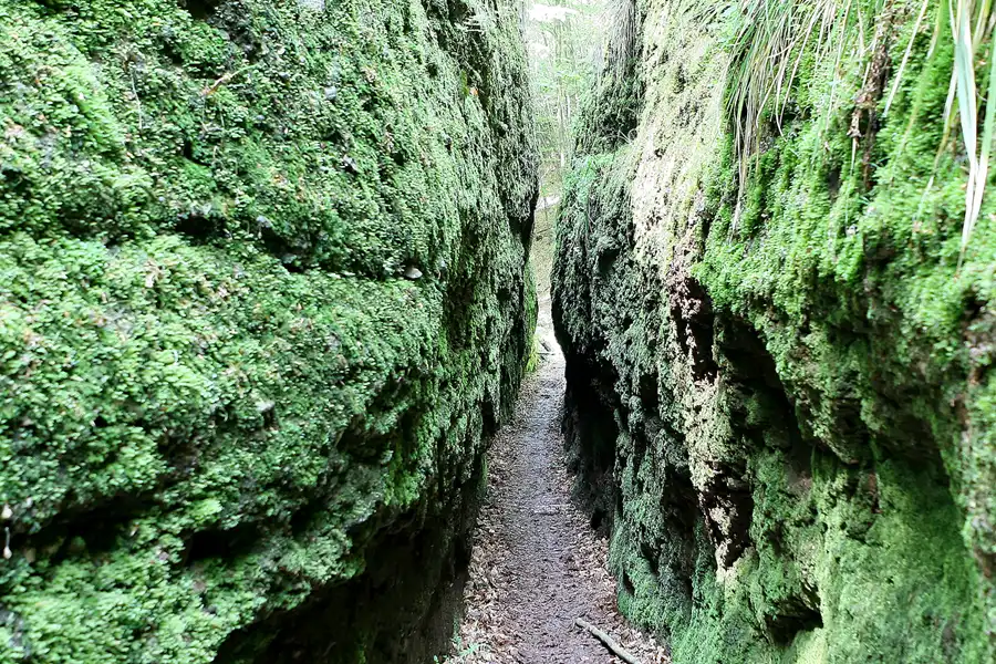 068 | 2009 | Thüringer Wald | Drachenschlucht | © carsten riede fotografie
