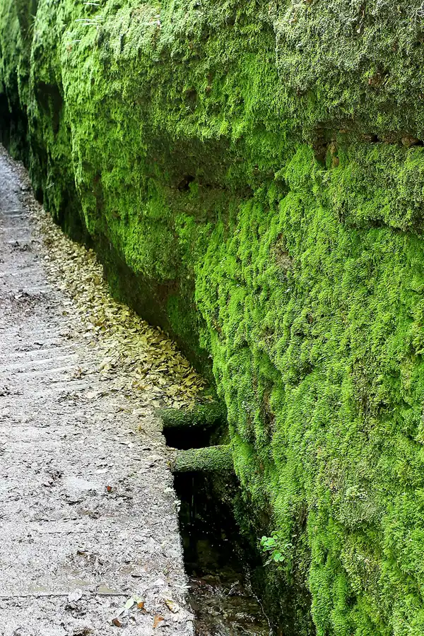 070 | 2009 | Thüringer Wald | Drachenschlucht | © carsten riede fotografie