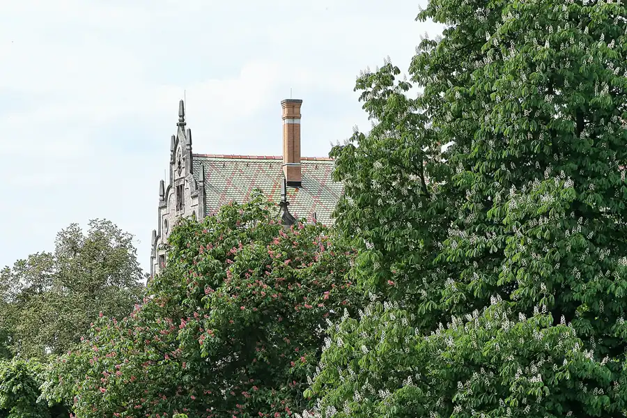 077 | 2009 | Altenstein | Schlosspark | © carsten riede fotografie