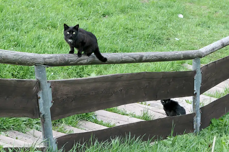 092 | 2009 | Thüringer Wald | Grosser Inselsberg | © carsten riede fotografie
