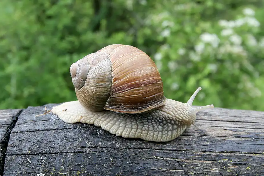 114 | 2009 | Gerstungen | © carsten riede fotografie