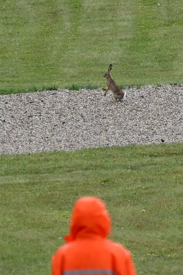 212 | 2009 | Motorsport Arena Oschersleben | © carsten riede fotografie