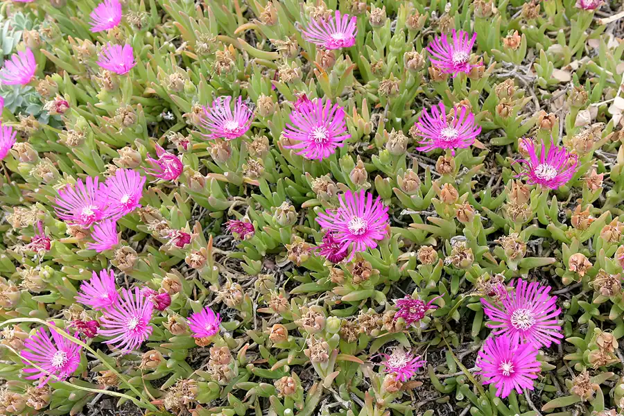 057 | 2009 | Portsmouth | © carsten riede fotografie