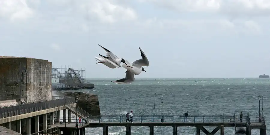 071 | 2009 | Portsmouth | © carsten riede fotografie