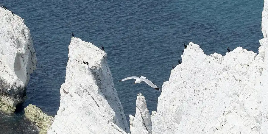 030 | 2009 | Isle Of Wight | The Needles Park | © carsten riede fotografie