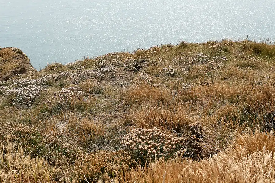 047 | 2009 | Isle Of Wight | Blackgang Chine | © carsten riede fotografie