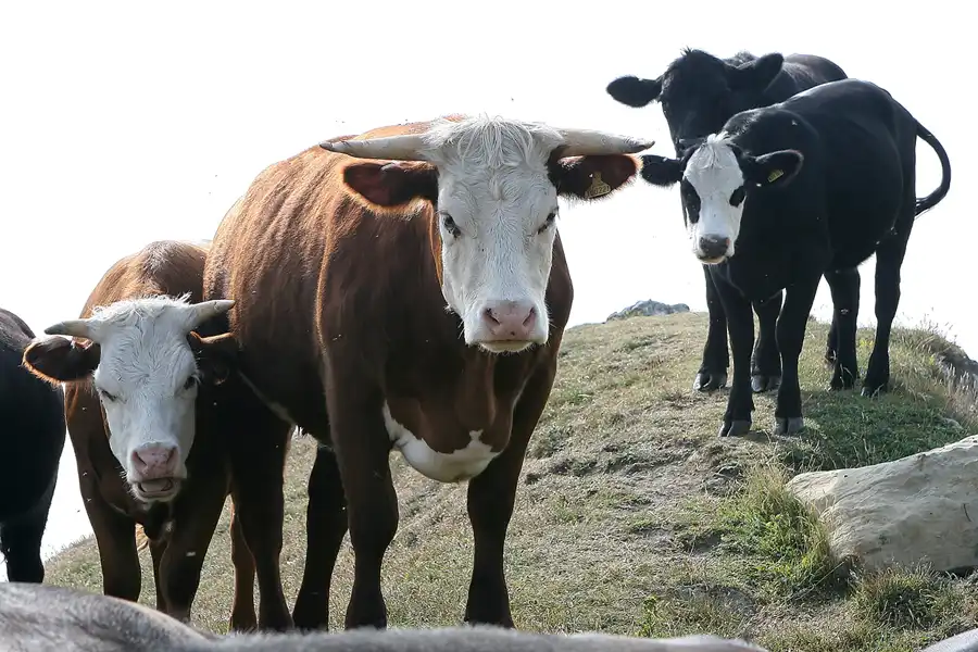 059 | 2009 | Isle Of Wight | St. Catherine`s Point | © carsten riede fotografie