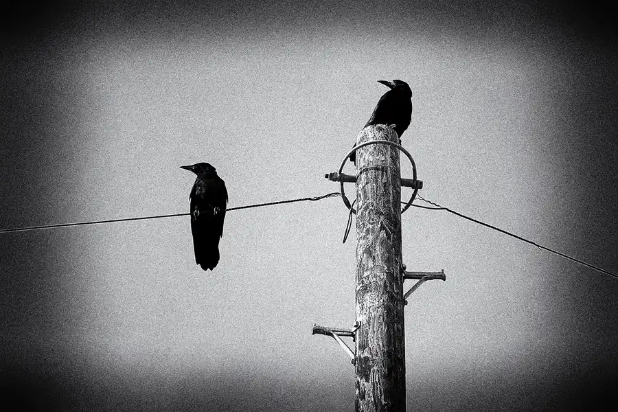 064 | 2009 | Isle Of Wight | Shanklin | © carsten riede fotografie
