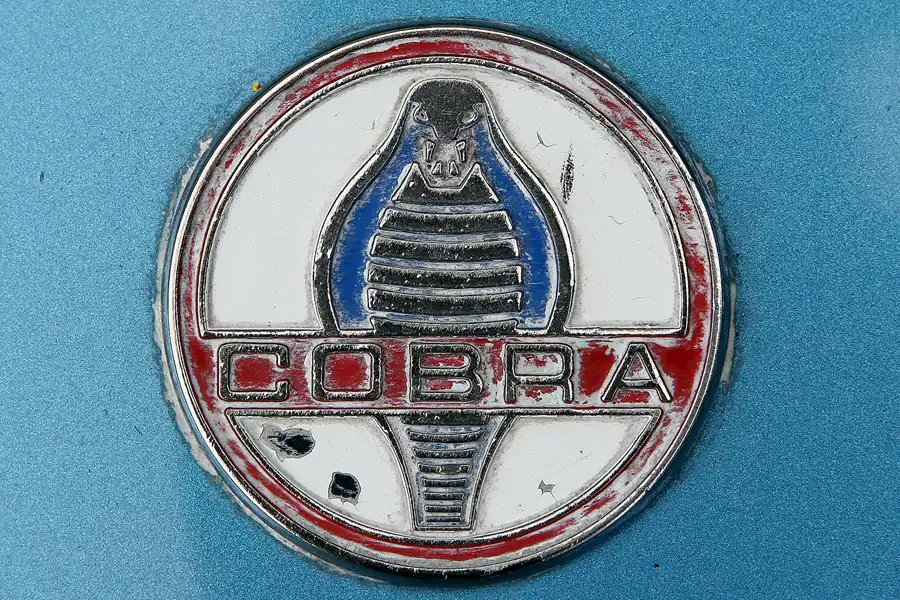 251 | 2009 | Goodwood | Festival Of Speed | © carsten riede fotografie