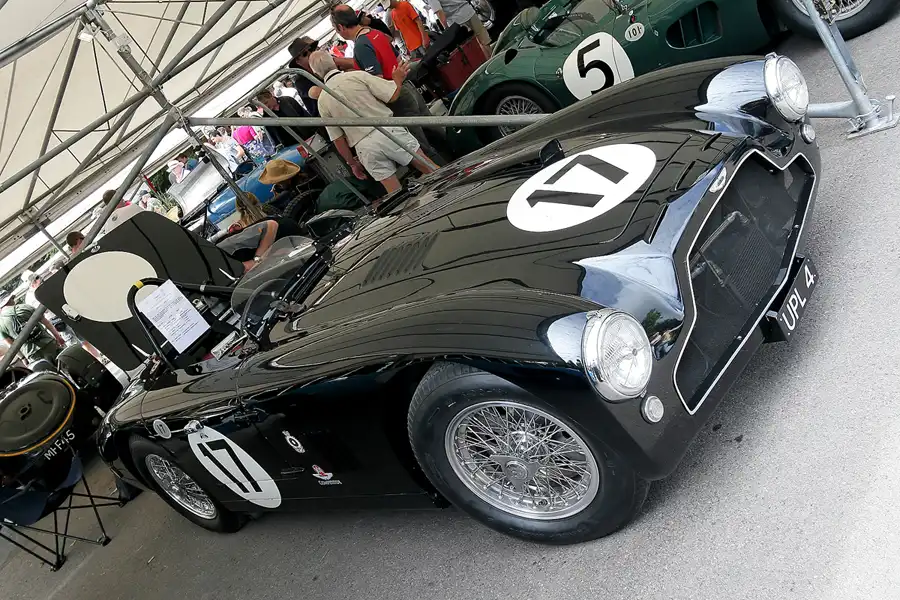 263 | 2009 | Goodwood | Festival Of Speed | © carsten riede fotografie