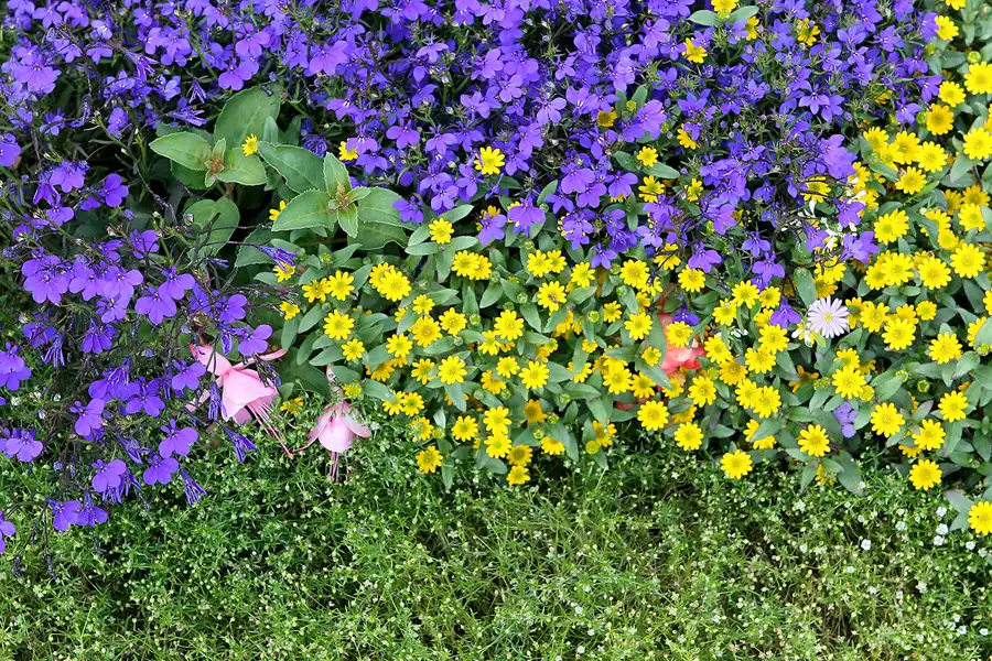 020 | 2009 | Oranienburg | Landesgartenschau | © carsten riede fotografie