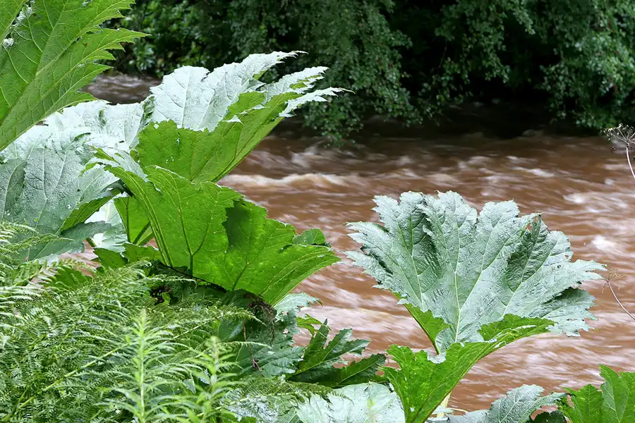 050 | 2009 | Cawdor Castle | © carsten riede fotografie