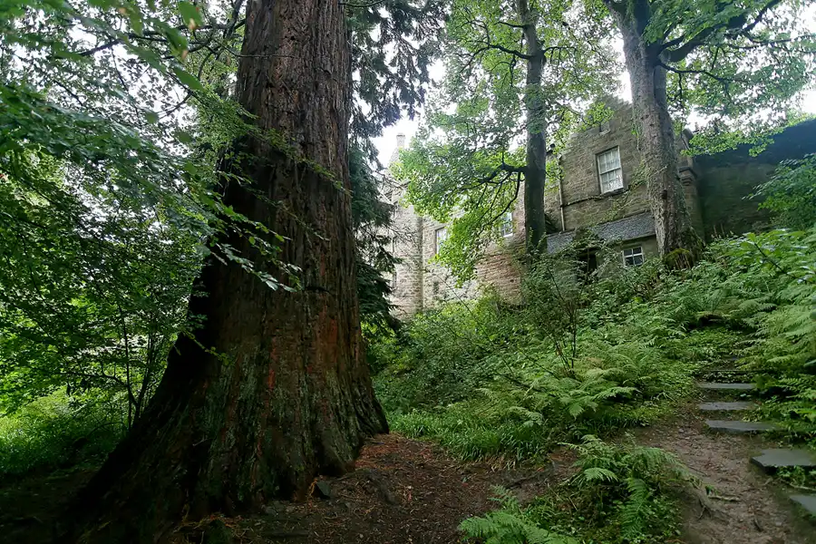 051 | 2009 | Cawdor Castle | © carsten riede fotografie