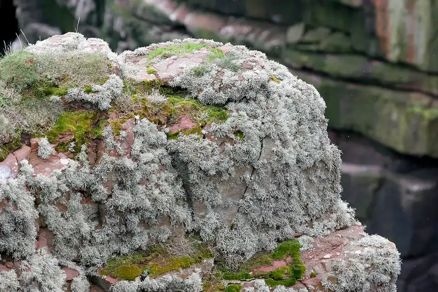 016 | 2009 | Highlands Route A99 | Duncansby Head | © carsten riede fotografie