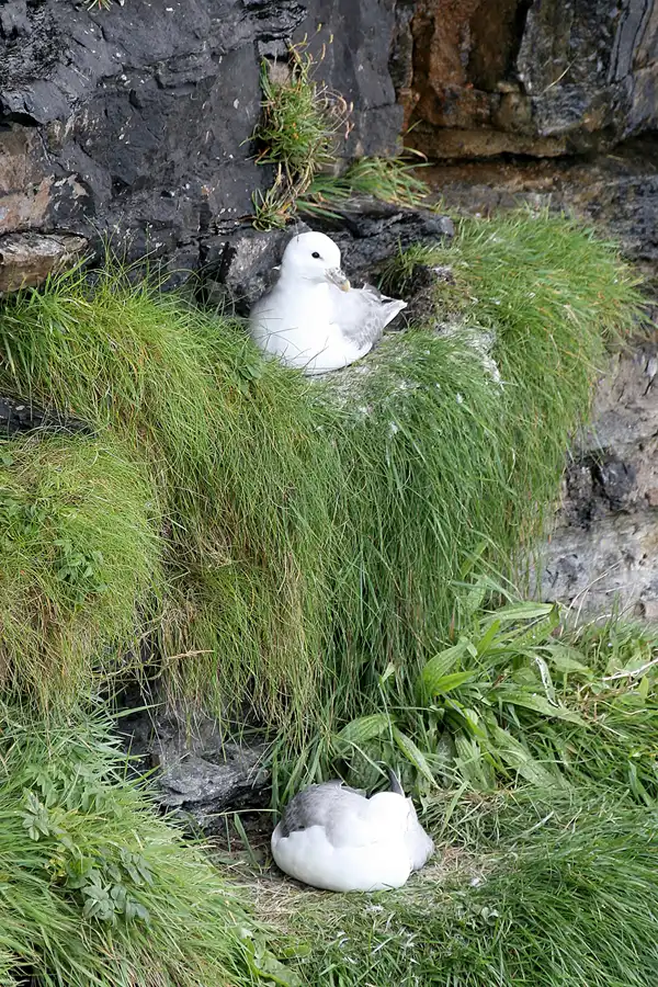046 | 2009 | Highlands Route A99 | Noss Head | © carsten riede fotografie