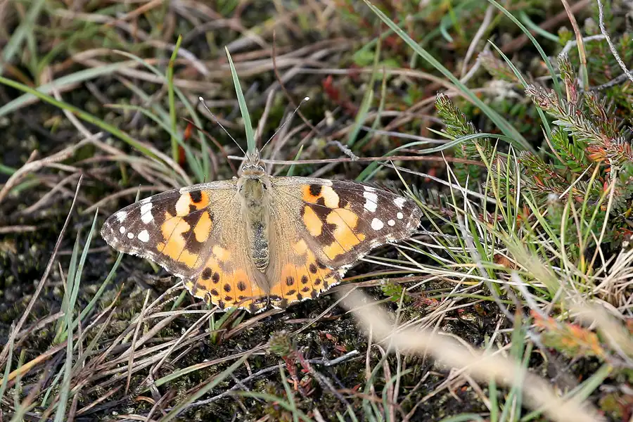 047 | 2009 | Highlands Route A99 | Noss Head | © carsten riede fotografie