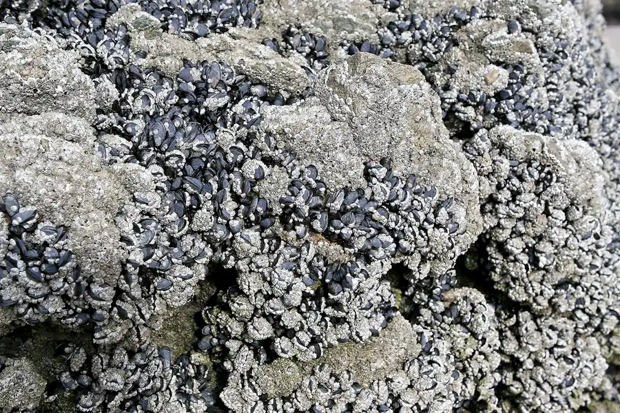 076 | 2009 | Highlands Route A836 + A838 | Durness – Award Winning Beach | © carsten riede fotografie