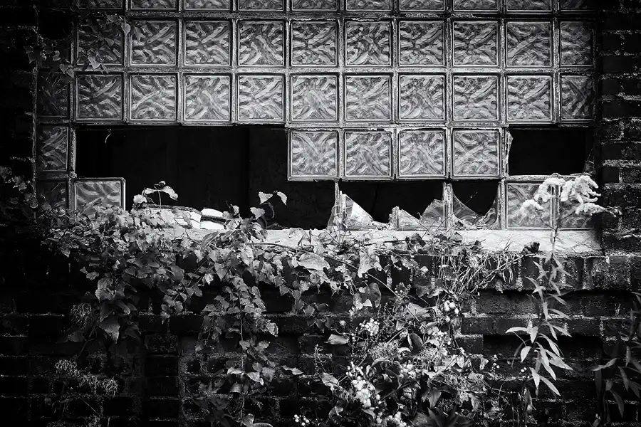 121 | 2009 | Magdeburg | Diamant Brauerei | © carsten riede fotografie