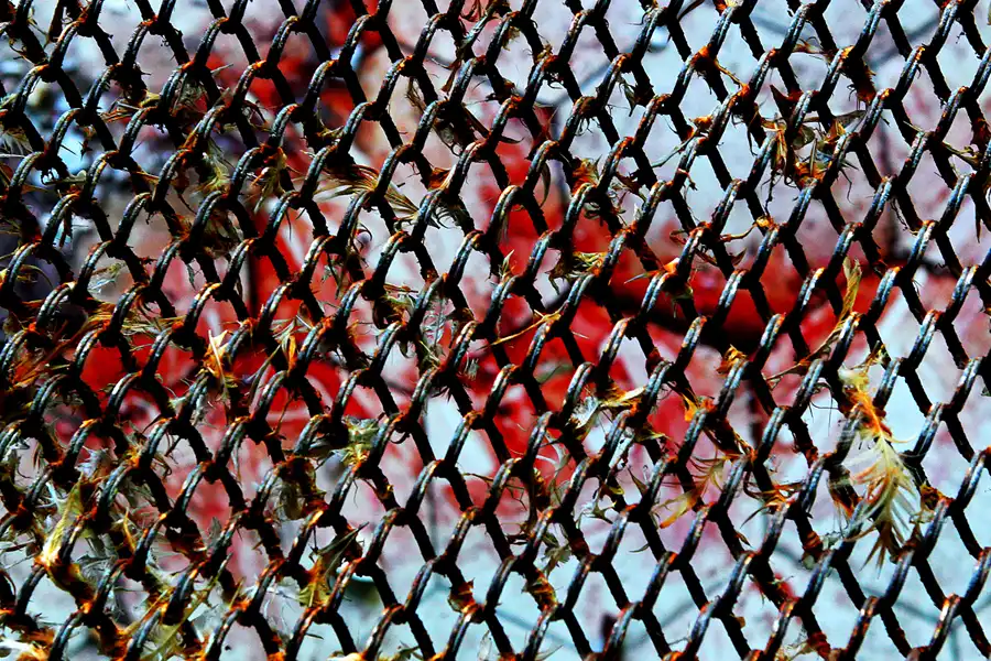 062 | 2009 | Beelitz-Heilstätten | Heilstätten | © carsten riede fotografie