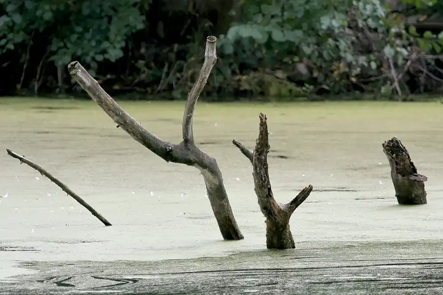 044 | 2009 | Berlin | Spreepark | © carsten riede fotografie