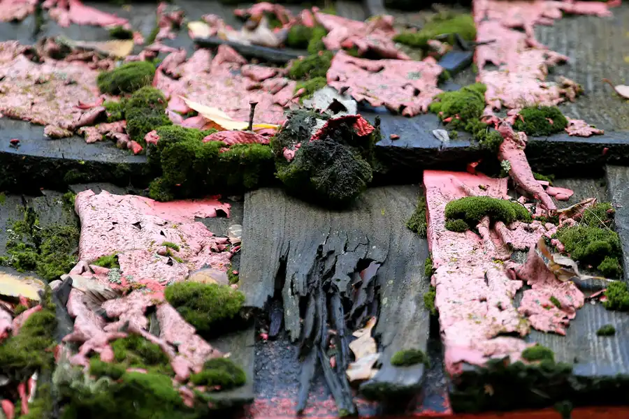 071 | 2009 | Berlin | Spreepark | © carsten riede fotografie