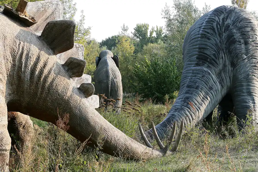 078 | 2009 | Berlin | Spreepark | © carsten riede fotografie