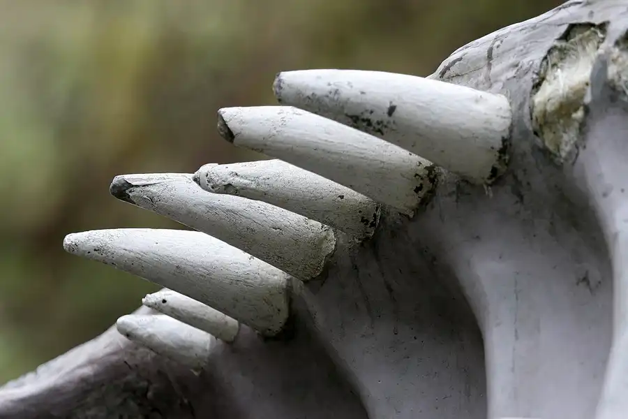 087 | 2009 | Berlin | Spreepark | © carsten riede fotografie