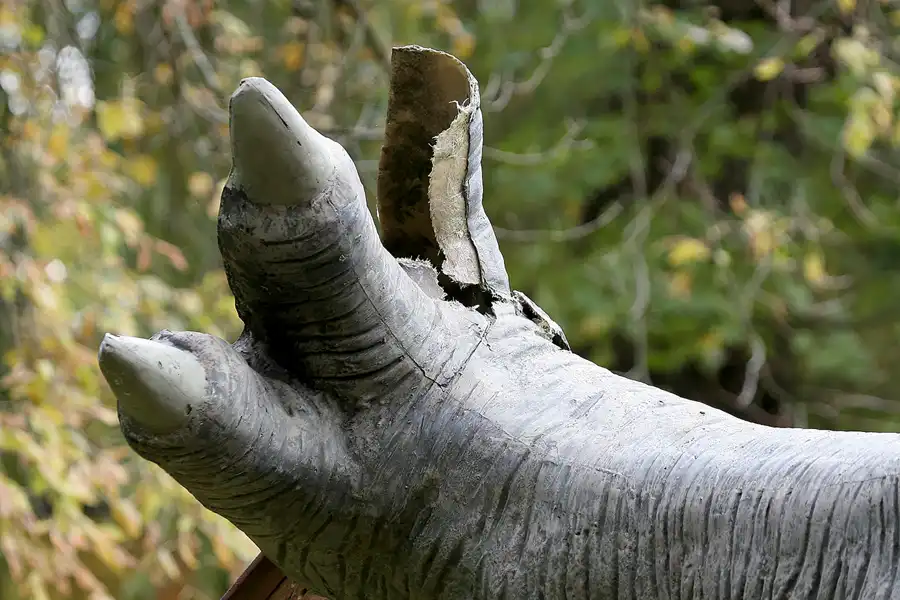 088 | 2009 | Berlin | Spreepark | © carsten riede fotografie