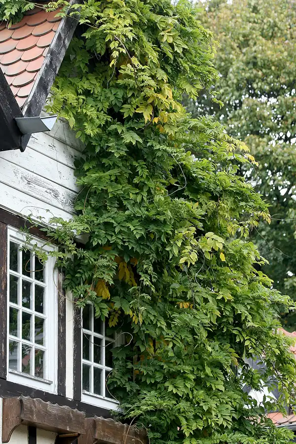 108 | 2009 | Berlin | Spreepark | © carsten riede fotografie