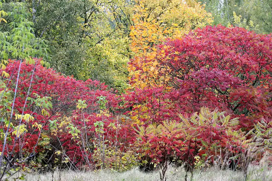 129 | 2009 | Berlin | Spreepark | © carsten riede fotografie