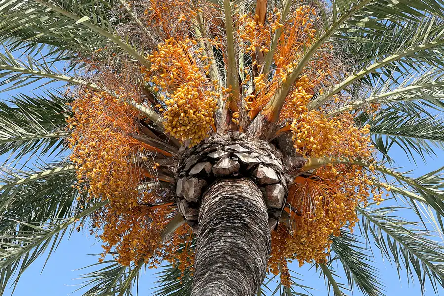 012 | 2009 | Rota | © carsten riede fotografie