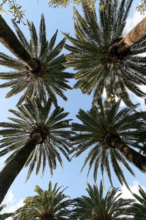 066 | 2009 | El Puerto De Santa Maria | © carsten riede fotografie