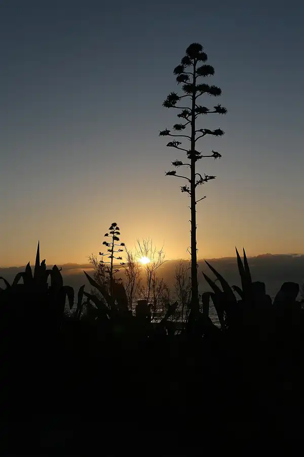 108 | 2009 | Novo Sancti Petri | © carsten riede fotografie